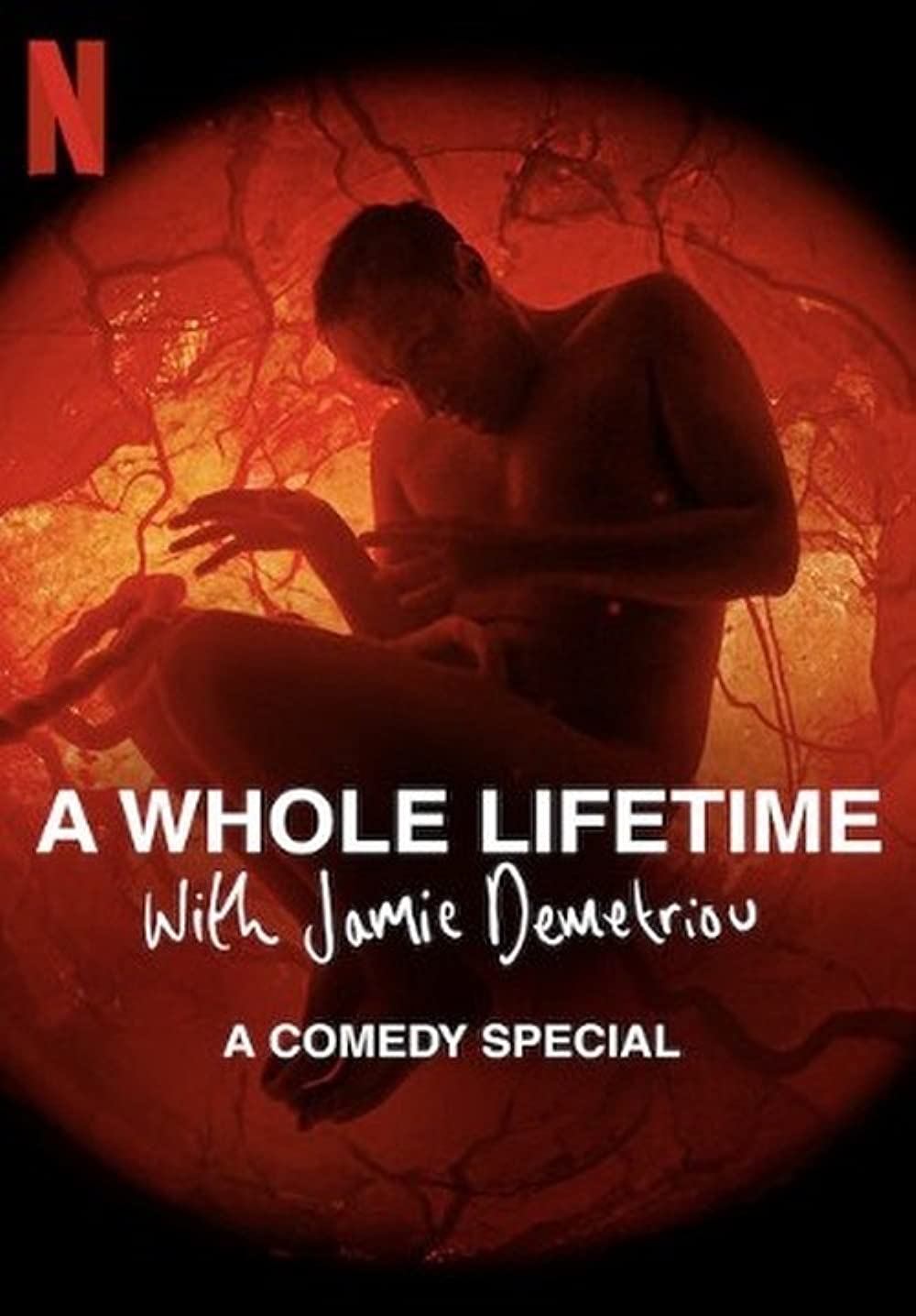 ดูหนังออนไลน์ฟรี A WHOLE LIFETIME WITH JAMIE DEMETRIOU (2023)